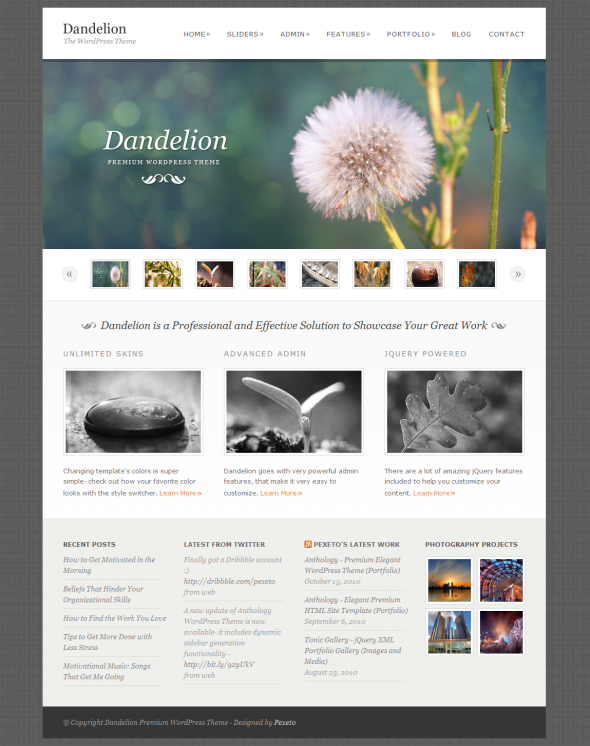 Dandelion by ThemeForest